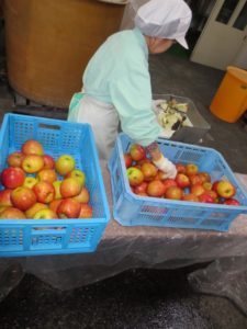 りんご酢へ使用する青森県産りんご